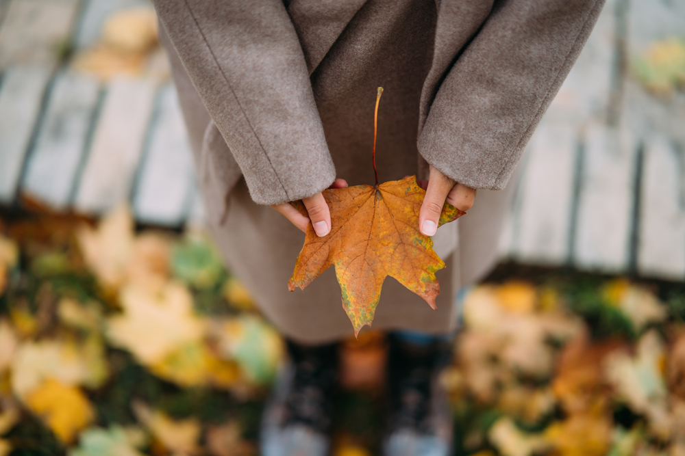 autumn-leaves-girl-s-hands.jpg